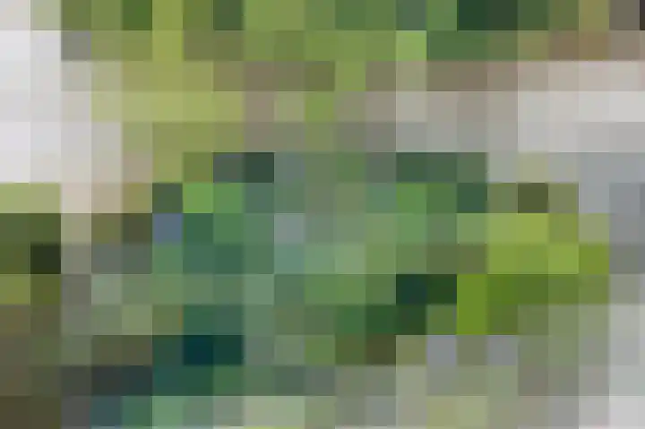 Tiendevrij 5 Wouw thumbnail 63