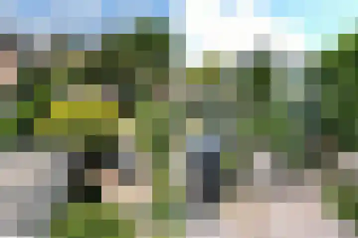 Tiendevrij 5 Wouw thumbnail 64