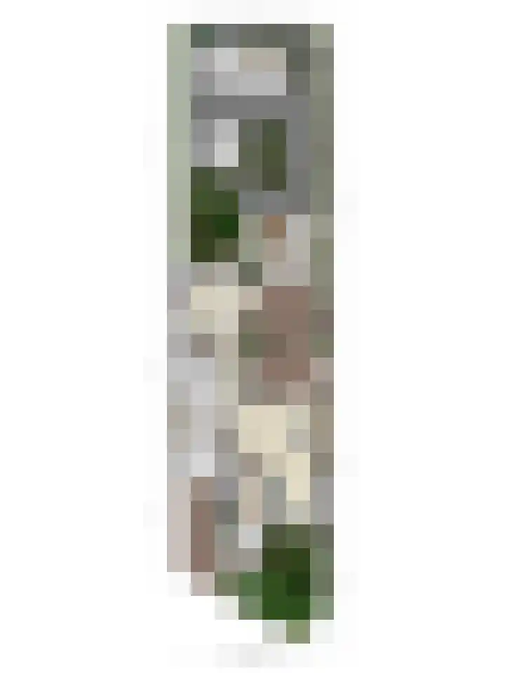 Tiendevrij 5 Wouw thumbnail 66