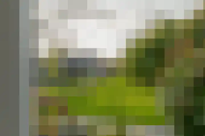 Tiendlanden 36 Assen thumbnail 15
