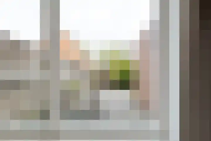 Tiendlanden 36 Assen thumbnail 20