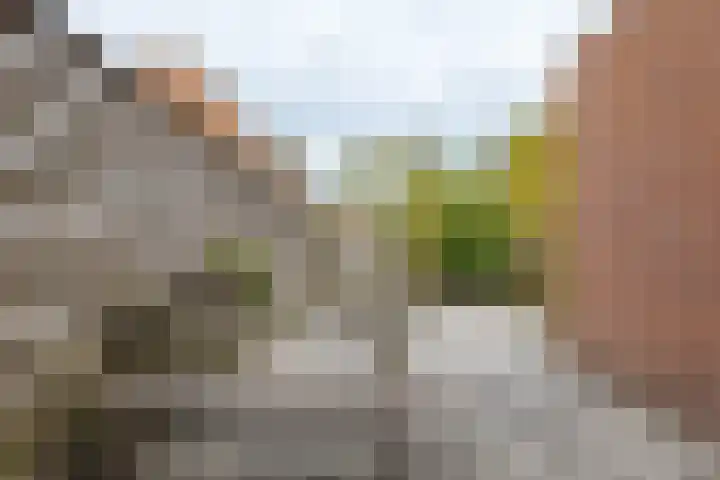 Tiendlanden 36 Assen thumbnail 21