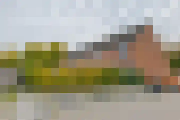 Tiendlanden 36 Assen thumbnail 29