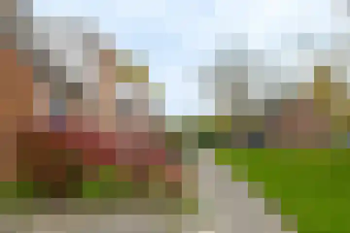 Tiendlanden 36 Assen thumbnail 4