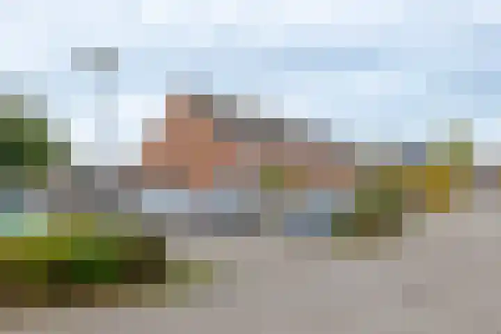 Tiendlanden 36 Assen thumbnail 5