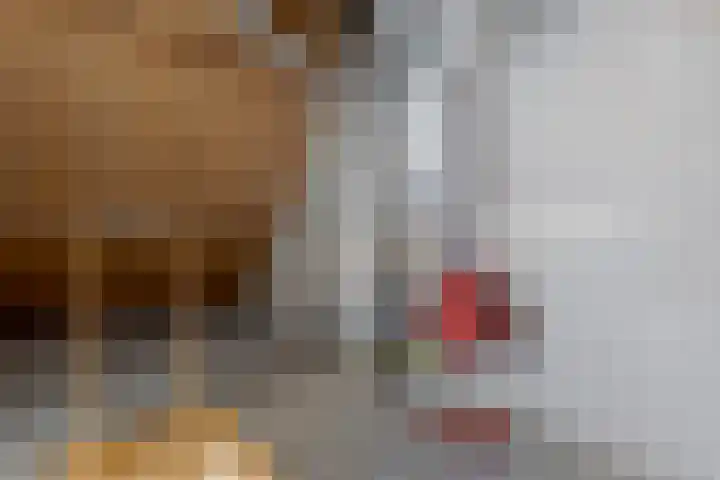 Tiendlanden 36 Assen thumbnail 57