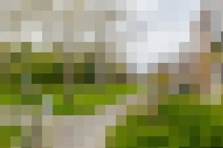Tiendlanden 36 Assen thumbnail 7