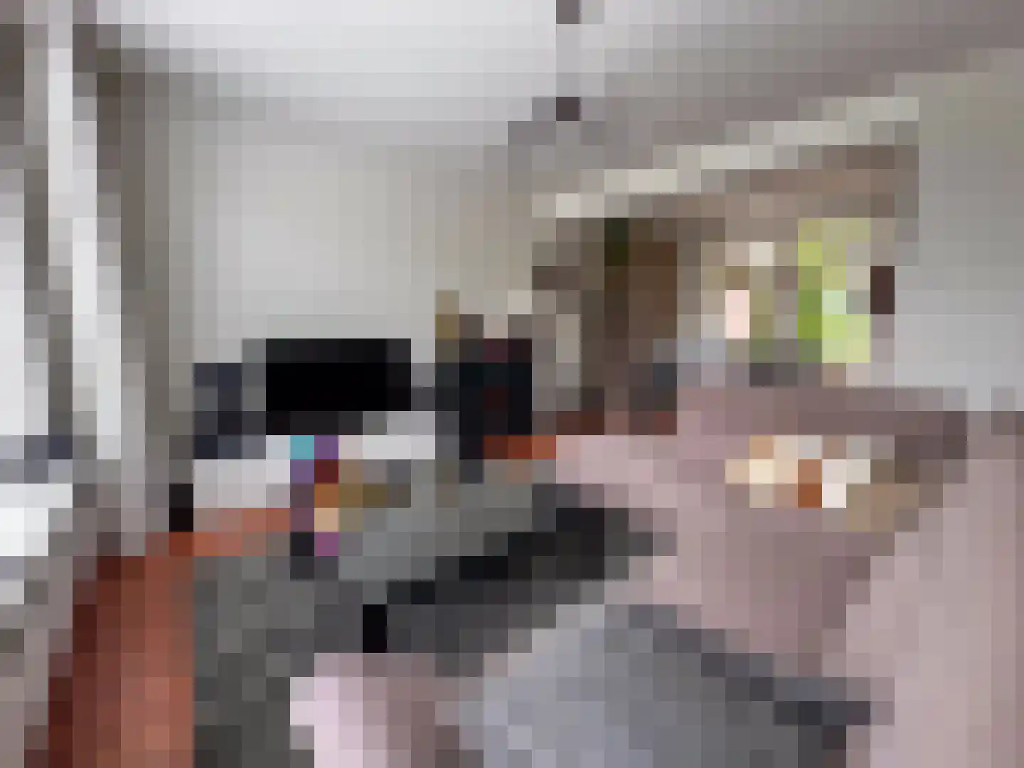 Tiendpad 6 Wernhout thumbnail 13