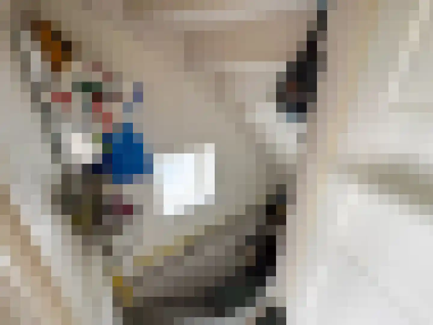 Tiendpad 6 Wernhout thumbnail 20