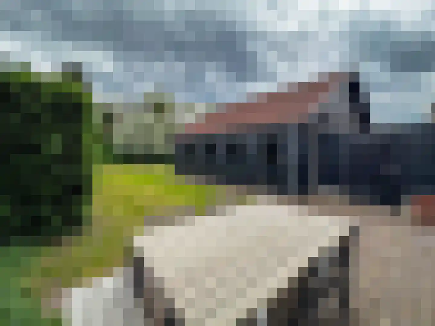 Tiendpad 6 Wernhout thumbnail 38
