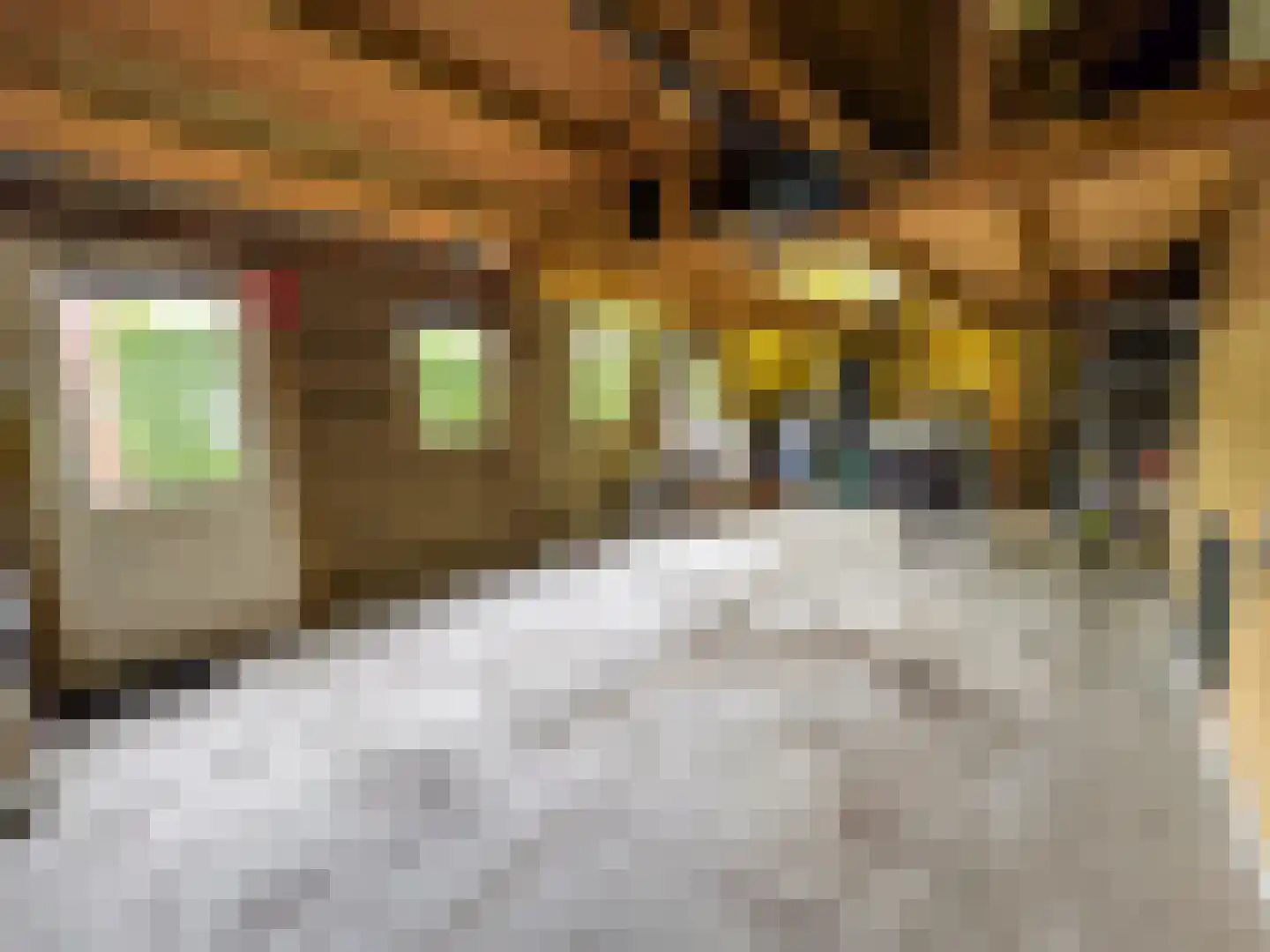 Tiendpad 6 Wernhout thumbnail 39
