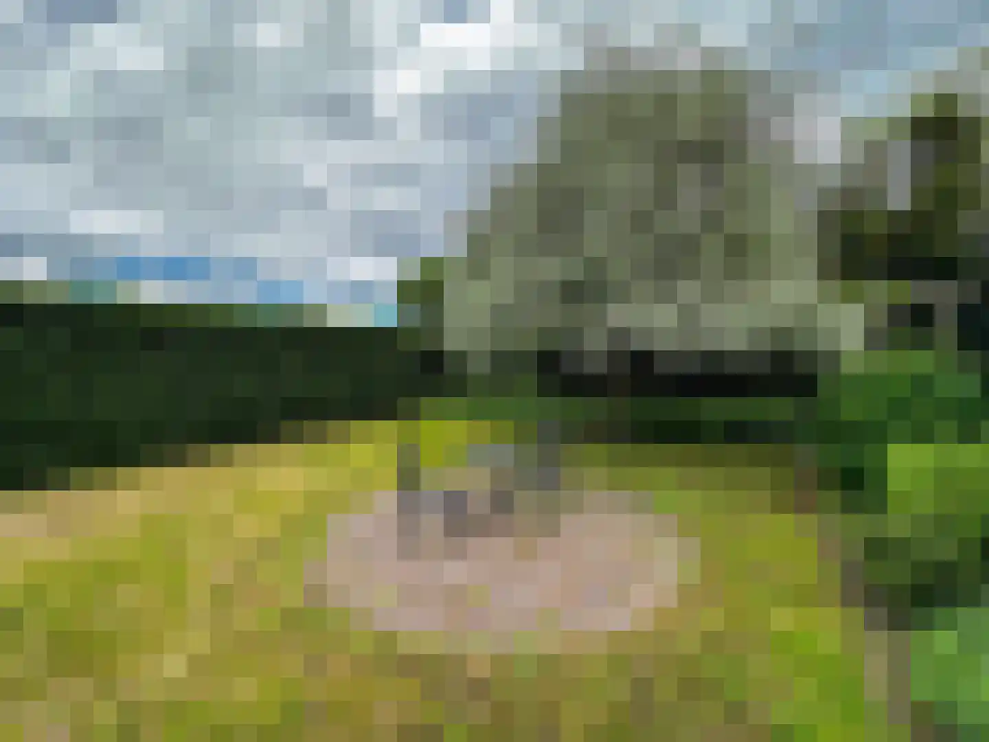 Tiendpad 6 Wernhout thumbnail 43