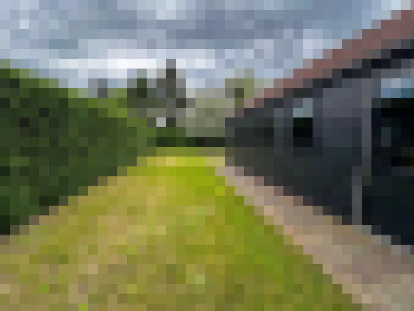 Tiendpad 6 Wernhout thumbnail 45