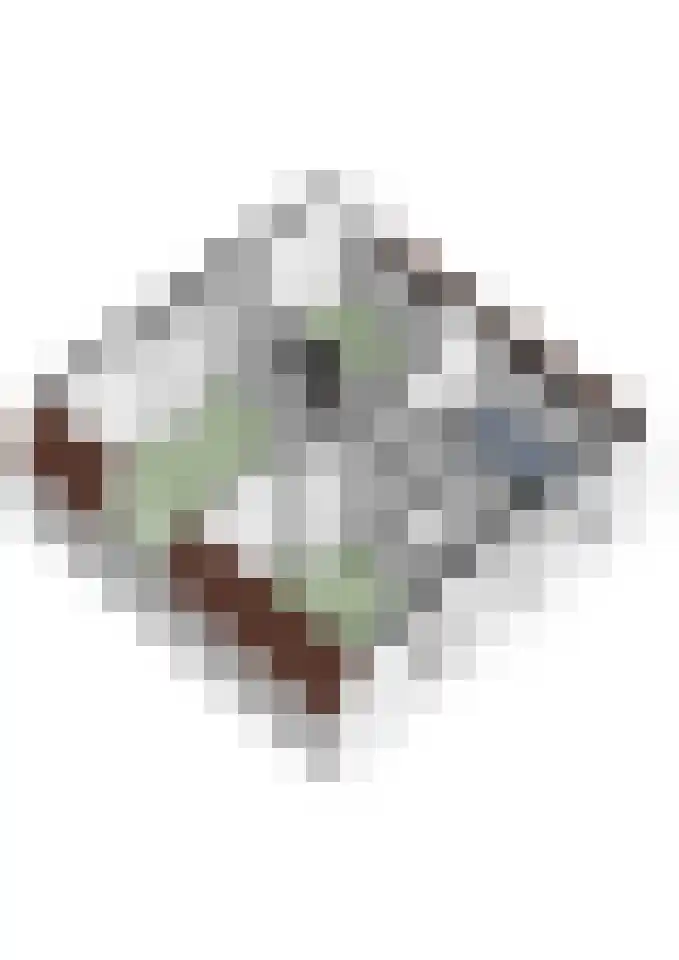 Tiendpad 6 Wernhout thumbnail 52