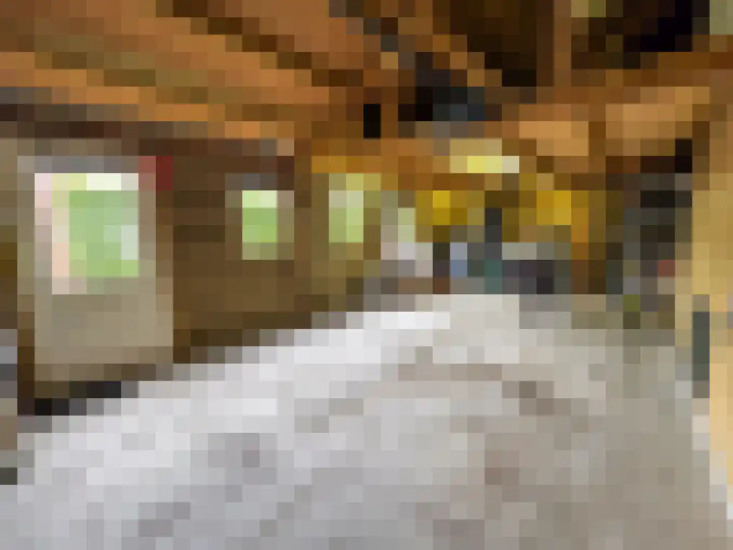 Tiendpad 6 Wernhout thumbnail 6
