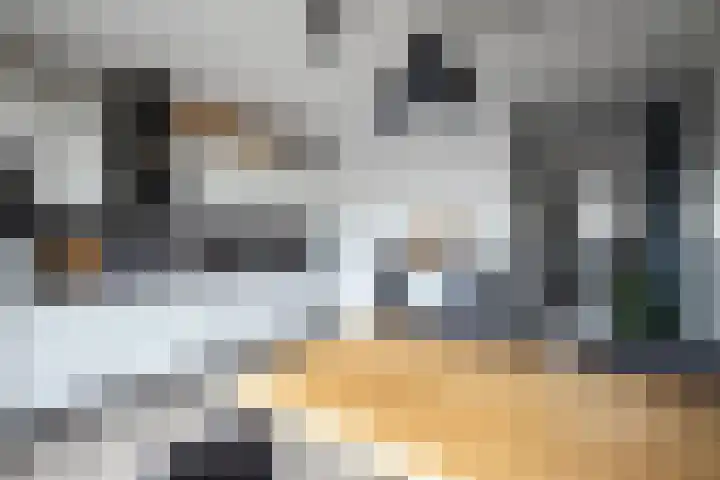 Tiendschuur 14 B Susteren thumbnail 6
