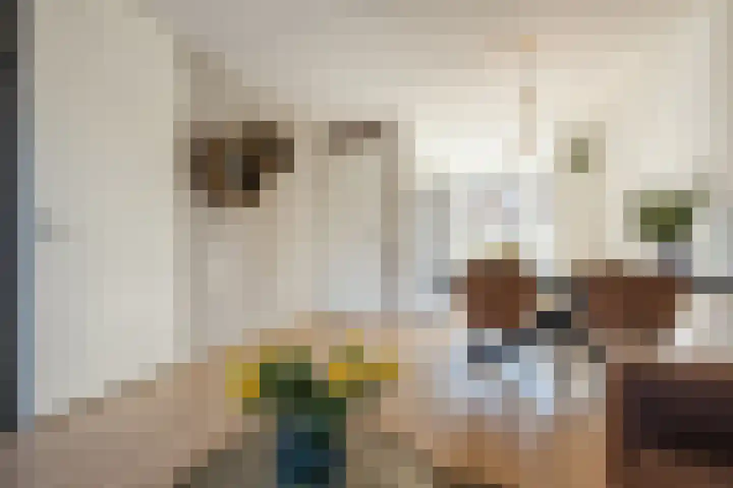 Tiendschuurstraat 133 Zwolle thumbnail 11