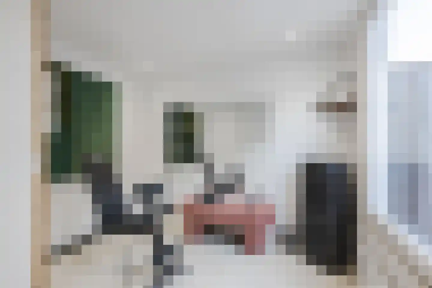 Tiendschuurstraat 133 Zwolle thumbnail 34