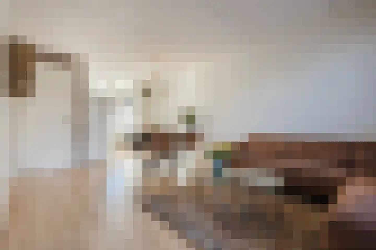 Tiendschuurstraat 133 Zwolle thumbnail 9