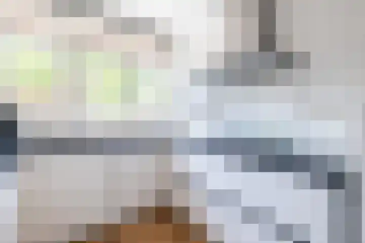 Tiendschuurstraat 151 Zwolle thumbnail 10