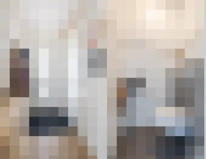 Tiendschuurstraat 151 Zwolle thumbnail 11