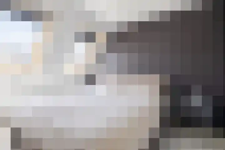 Tiendschuurstraat 151 Zwolle thumbnail 13