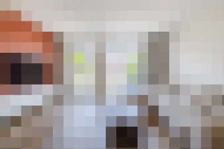 Tiendschuurstraat 151 Zwolle thumbnail 5