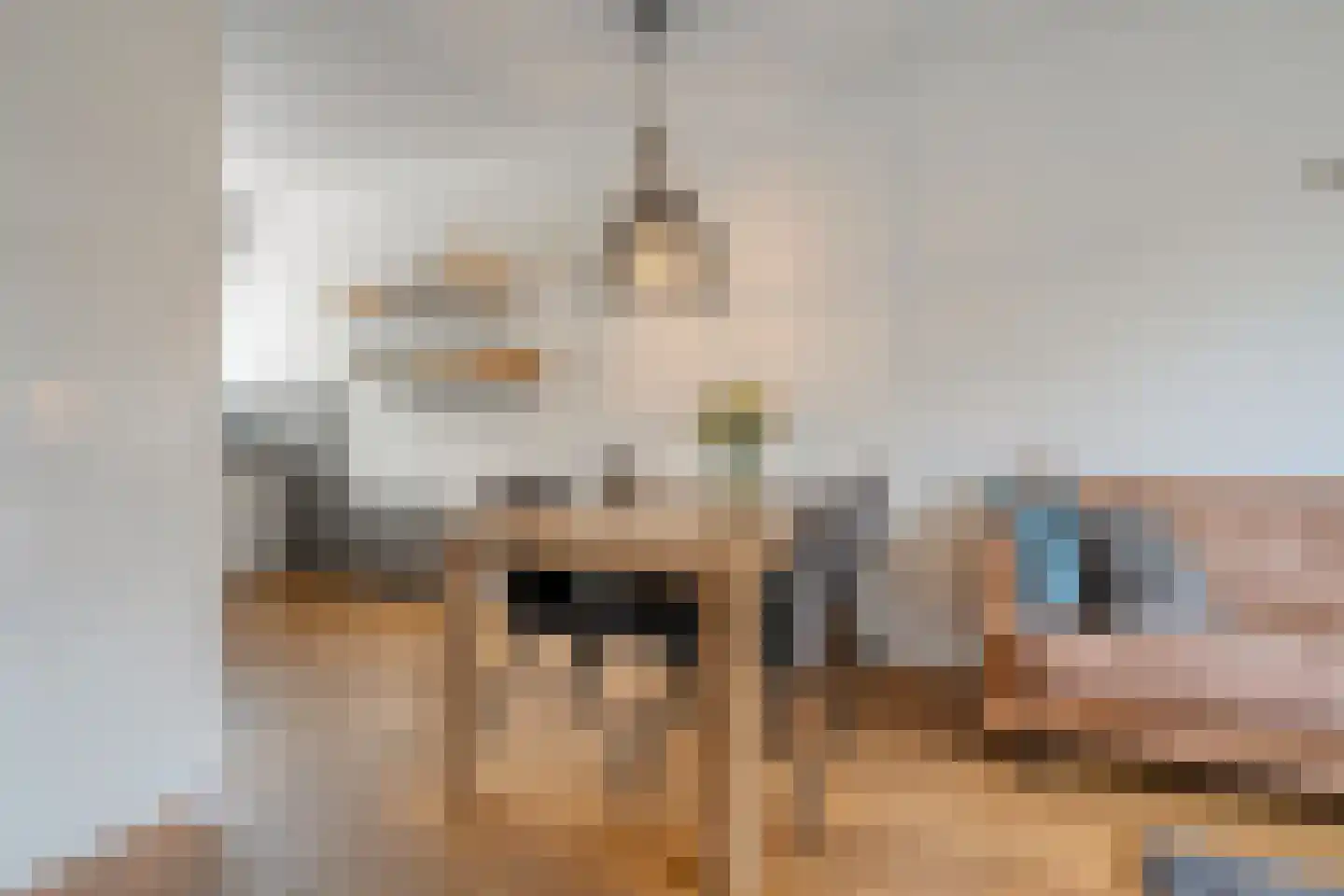 Tiendschuurstraat 183 Zwolle thumbnail 12