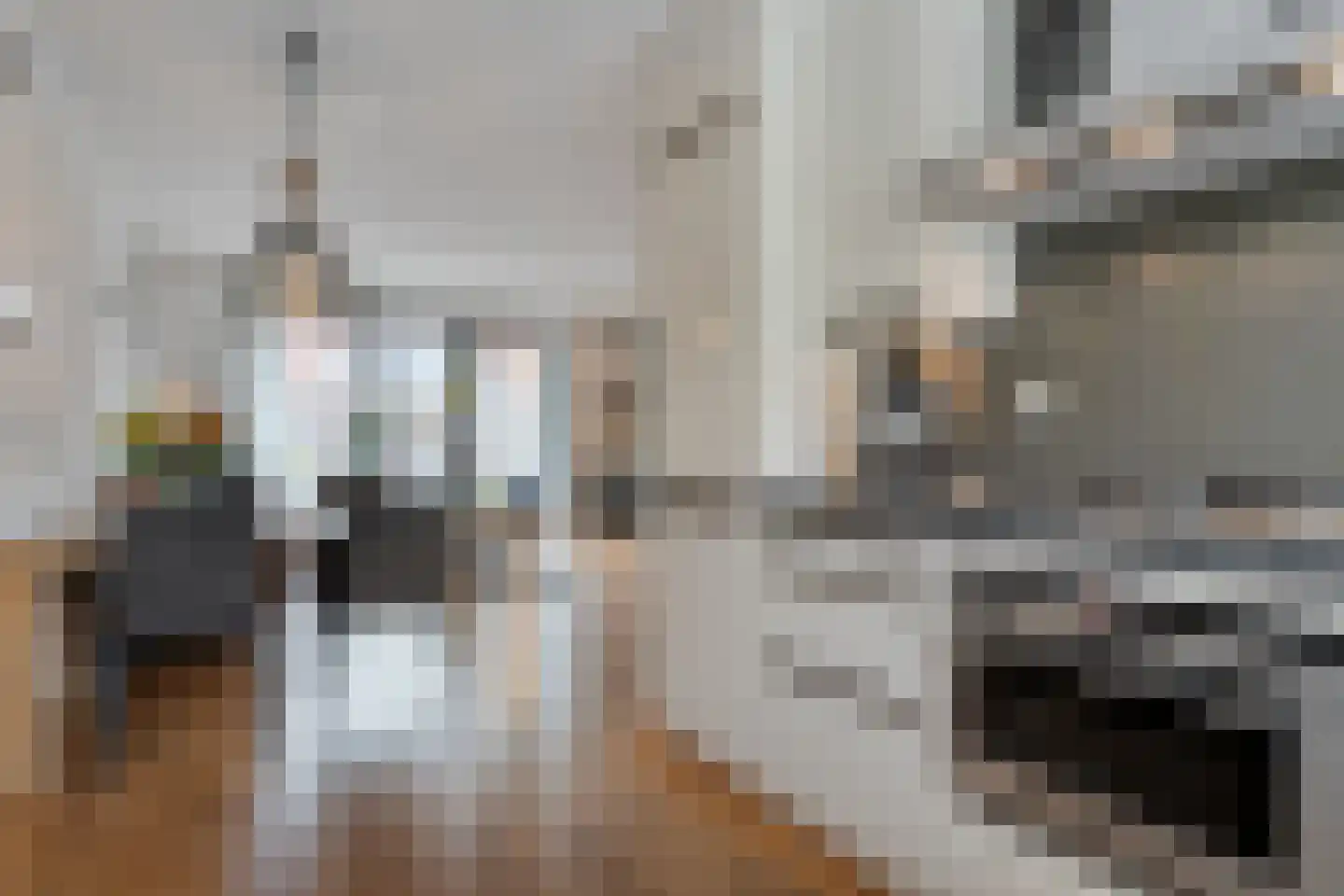 Tiendschuurstraat 183 Zwolle thumbnail 16