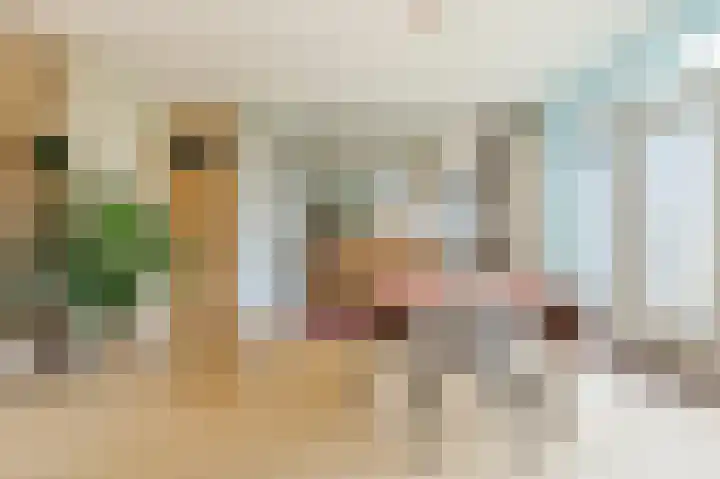 Tiendschuurstraat 32 Zwolle thumbnail 13