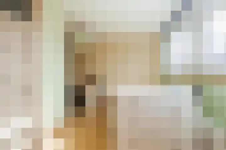 Tiendschuurstraat 32 Zwolle thumbnail 35