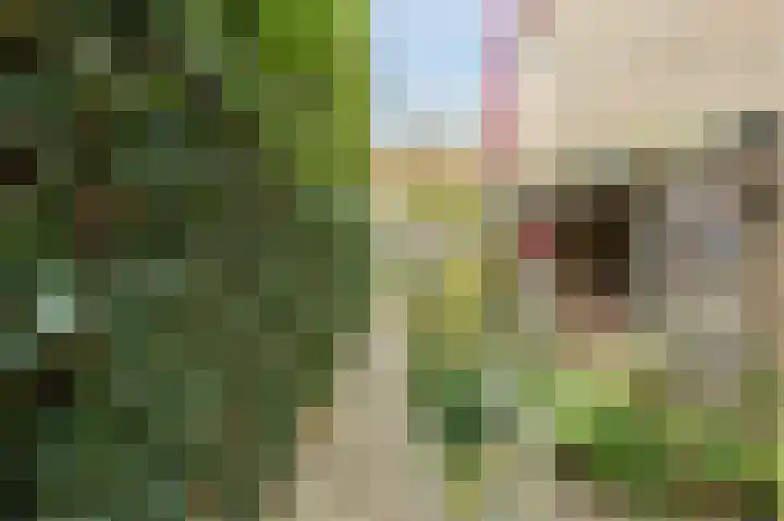 Tiendschuurstraat 32 Zwolle thumbnail 54