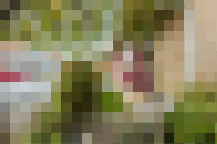 Tiendschuurstraat 32 Zwolle thumbnail 6