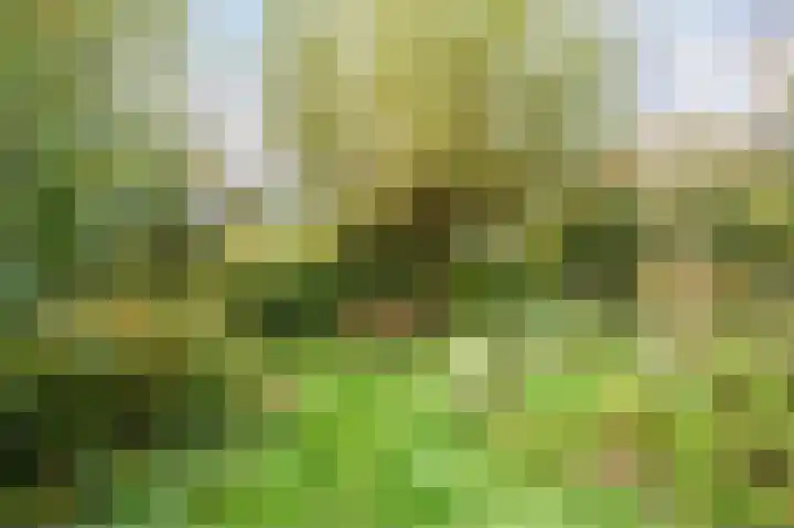 Tiendschuurstraat 32 Zwolle thumbnail 82