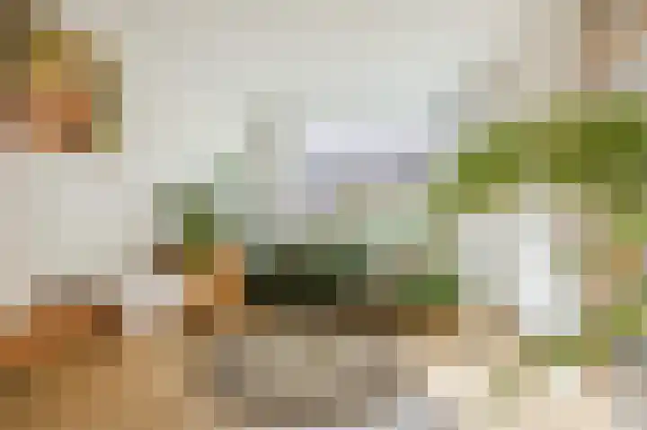 Tiendschuurstraat 32 Zwolle thumbnail 9