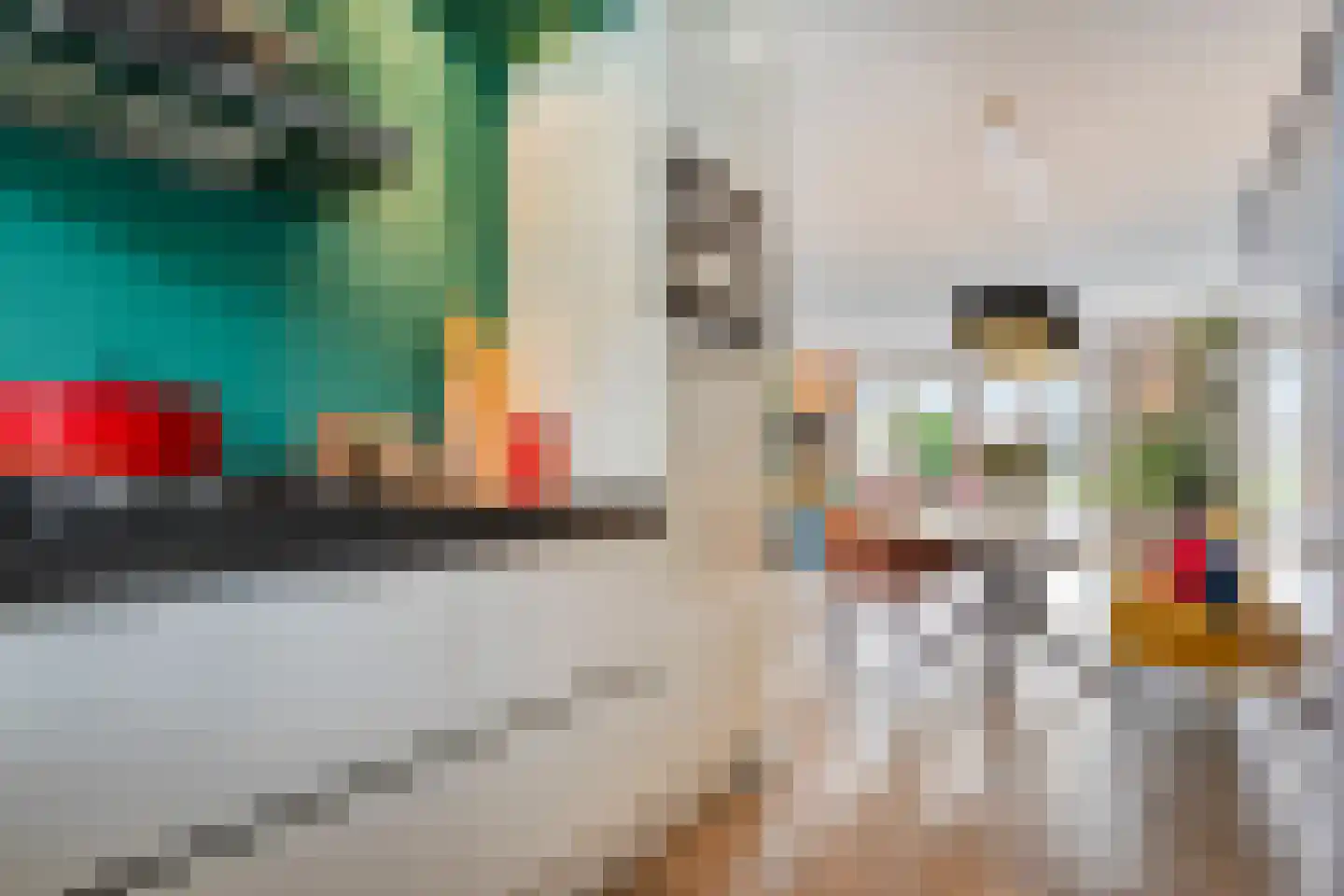 Tiendschuurstraat 39 Zwolle thumbnail 22