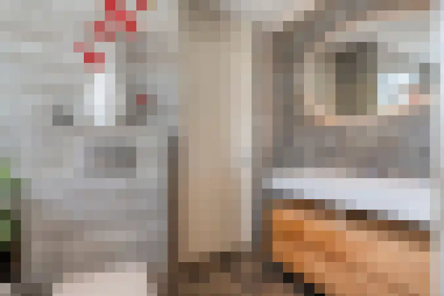 Tiendschuurstraat 39 Zwolle thumbnail 33