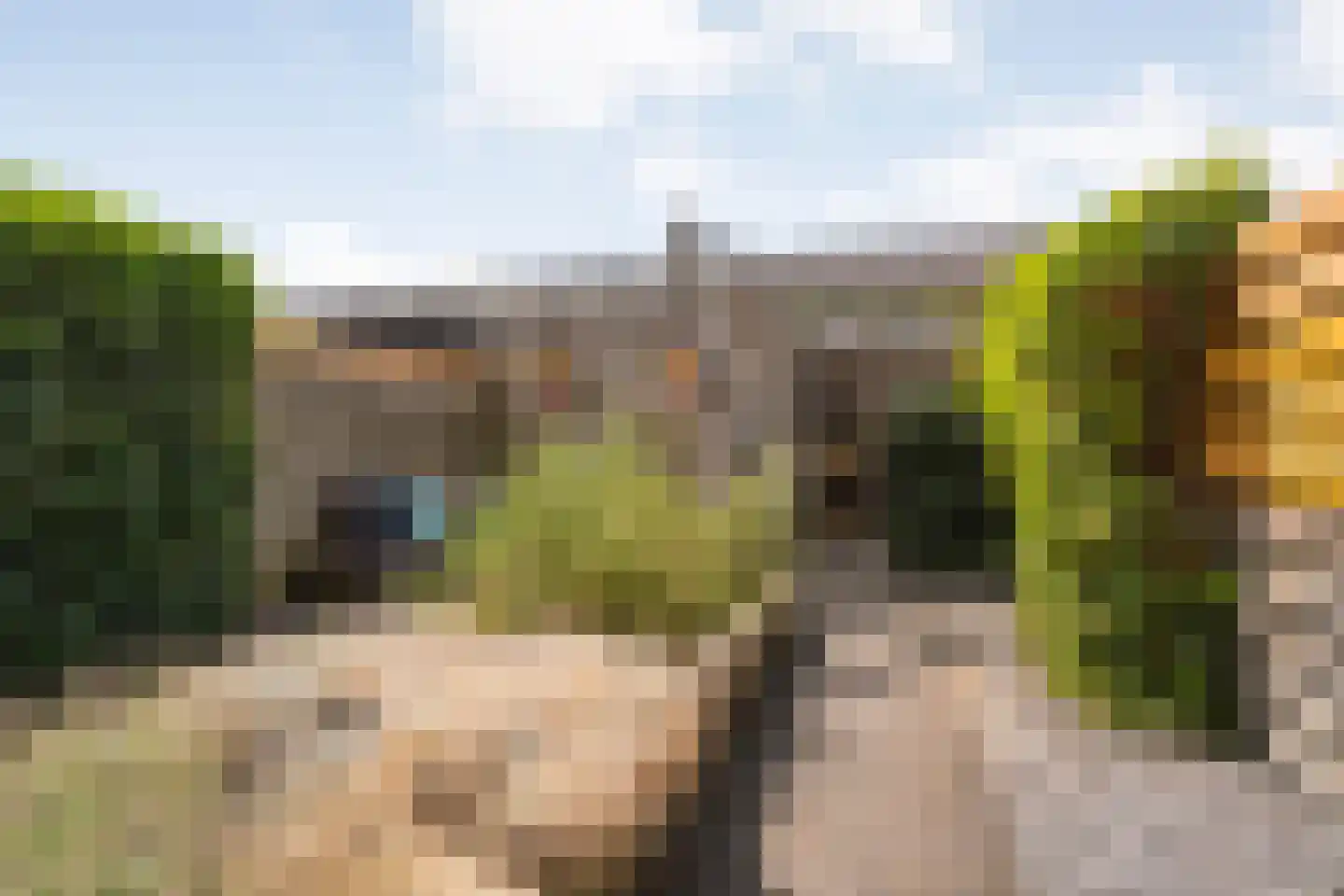 Tiendschuurstraat 39 Zwolle thumbnail 41