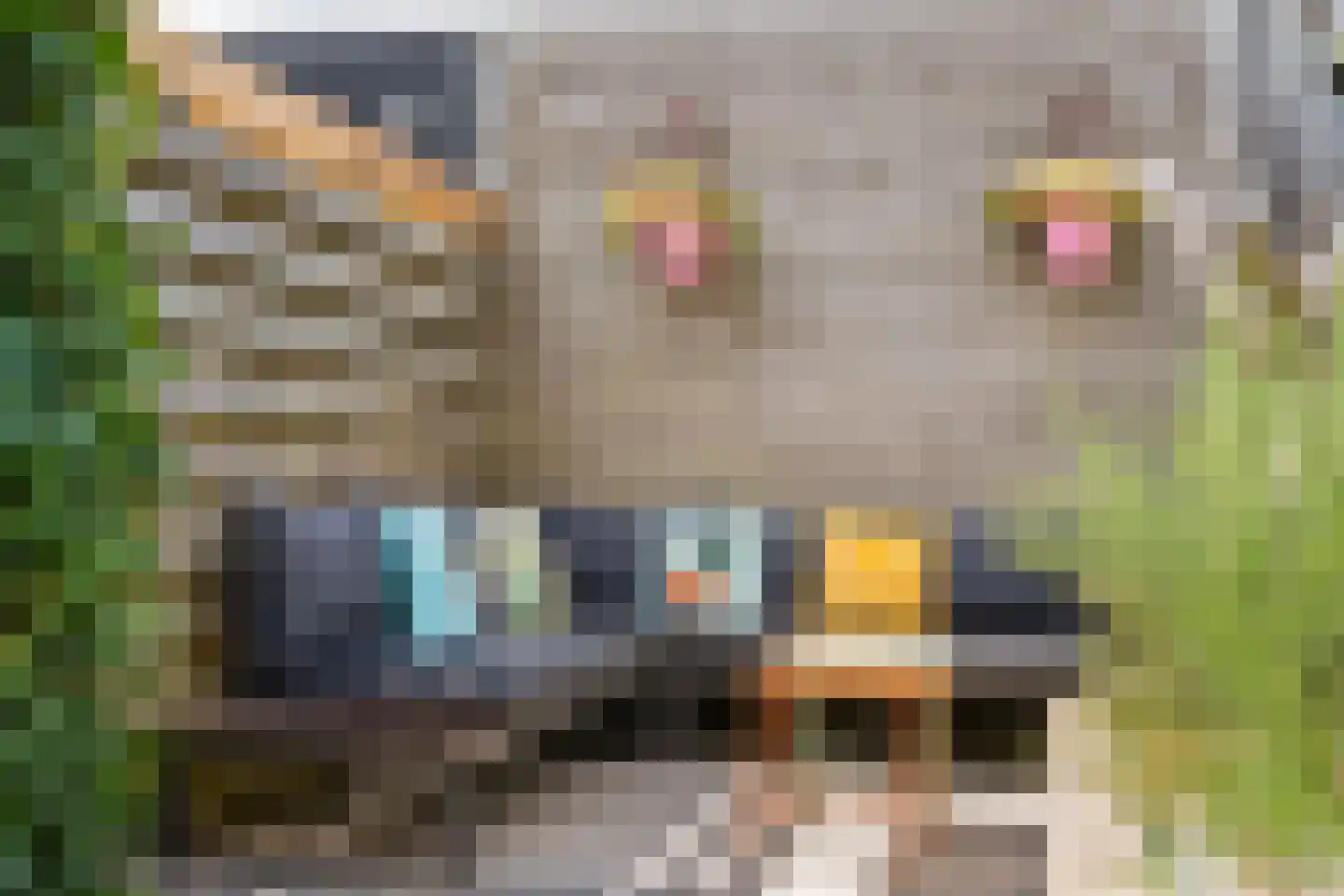 Tiendschuurstraat 39 Zwolle thumbnail 43