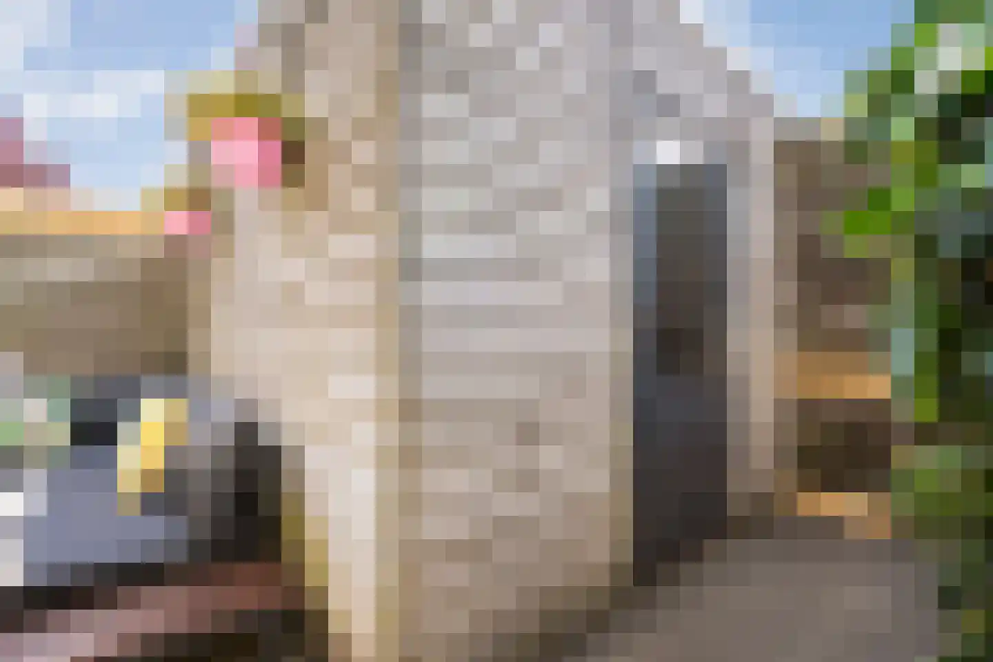Tiendschuurstraat 39 Zwolle thumbnail 45