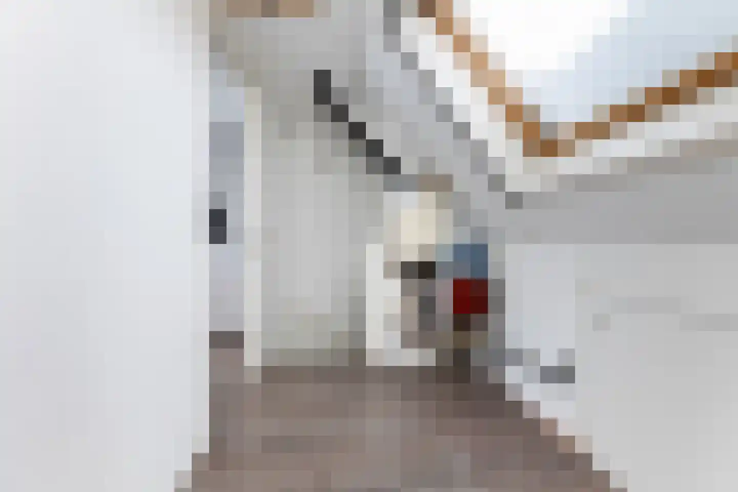 Tiendschuurstraat 49 Zwolle thumbnail 22