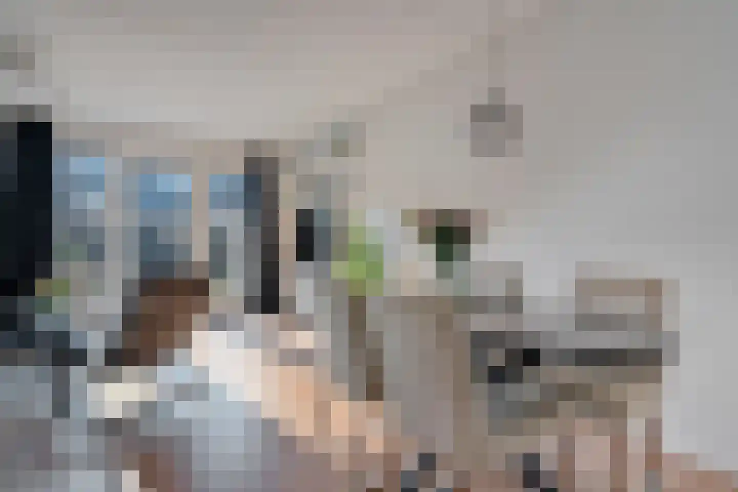 Tiendschuurstraat 53 Zwolle thumbnail 11