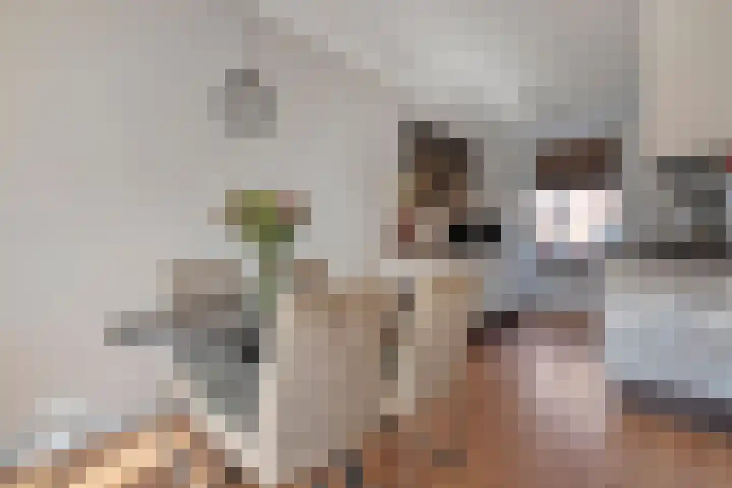 Tiendschuurstraat 53 Zwolle thumbnail 12