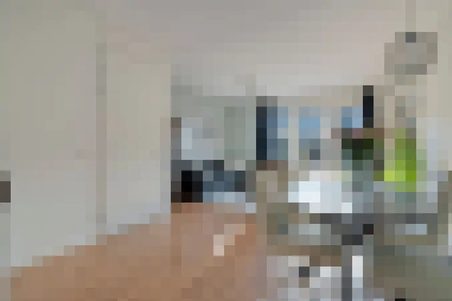 Tiendschuurstraat 53 Zwolle thumbnail 16