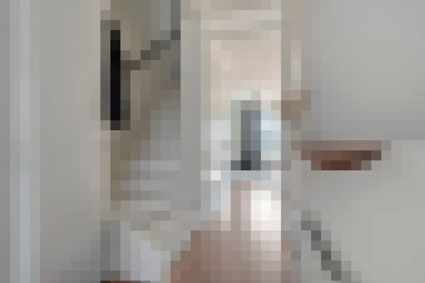 Tiendschuurstraat 53 Zwolle thumbnail 8