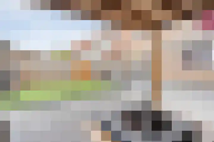 Tiendschuurstraat 69 Zwolle thumbnail 32