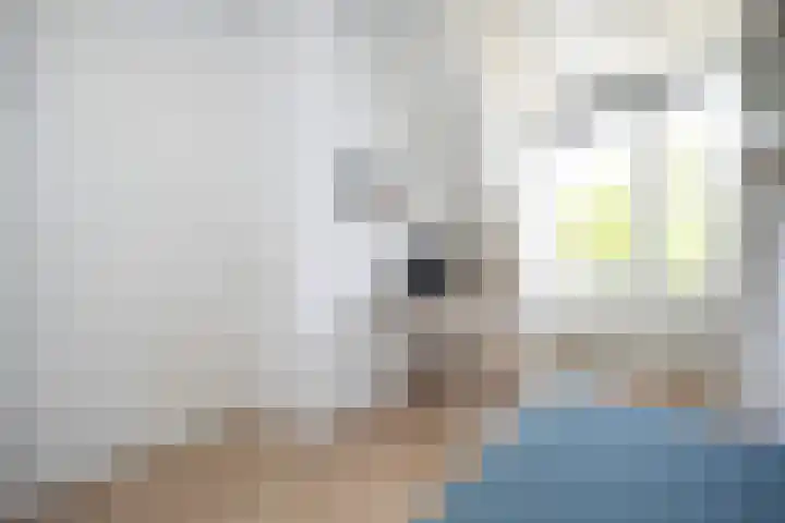 Tiendschuurstraat 71 Zwolle thumbnail 14