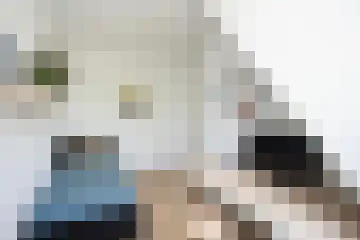Tiendschuurstraat 71 Zwolle thumbnail 15