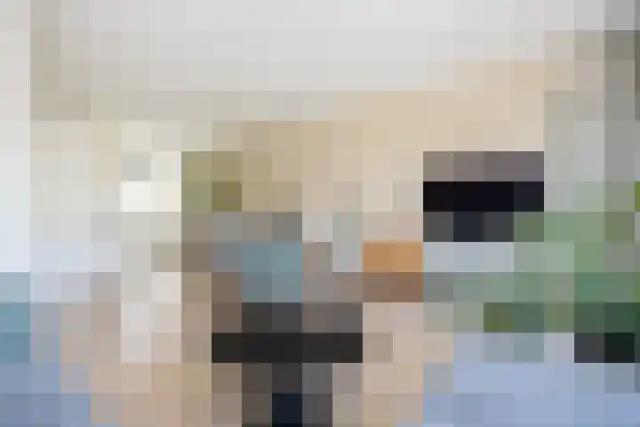 Tiendschuurstraat 71 Zwolle thumbnail 4