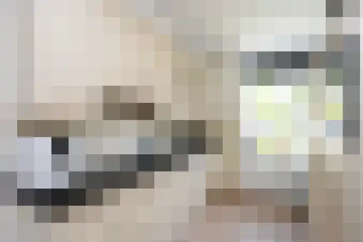 Tiendschuurstraat 71 Zwolle thumbnail 7